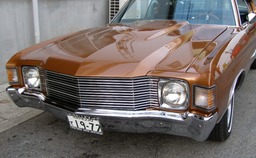 REsize 72 Chevelle Grille